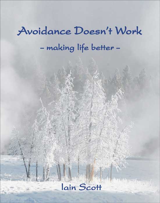 photo of Avoidance Doesn't work book