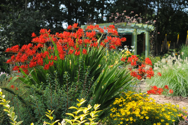 photo of plants in the oasis gardens