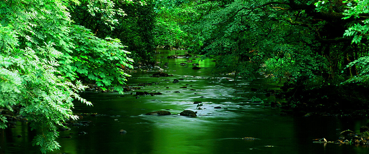 photo of a river