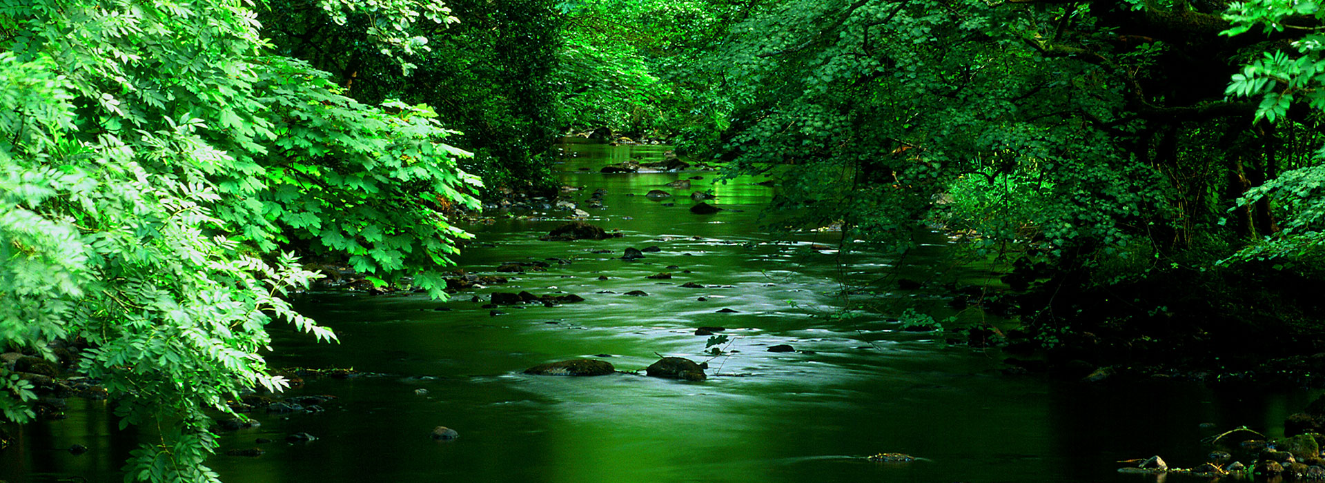 photo of a river