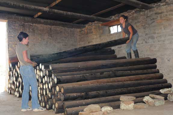 photo of people moving logs at Komsberg